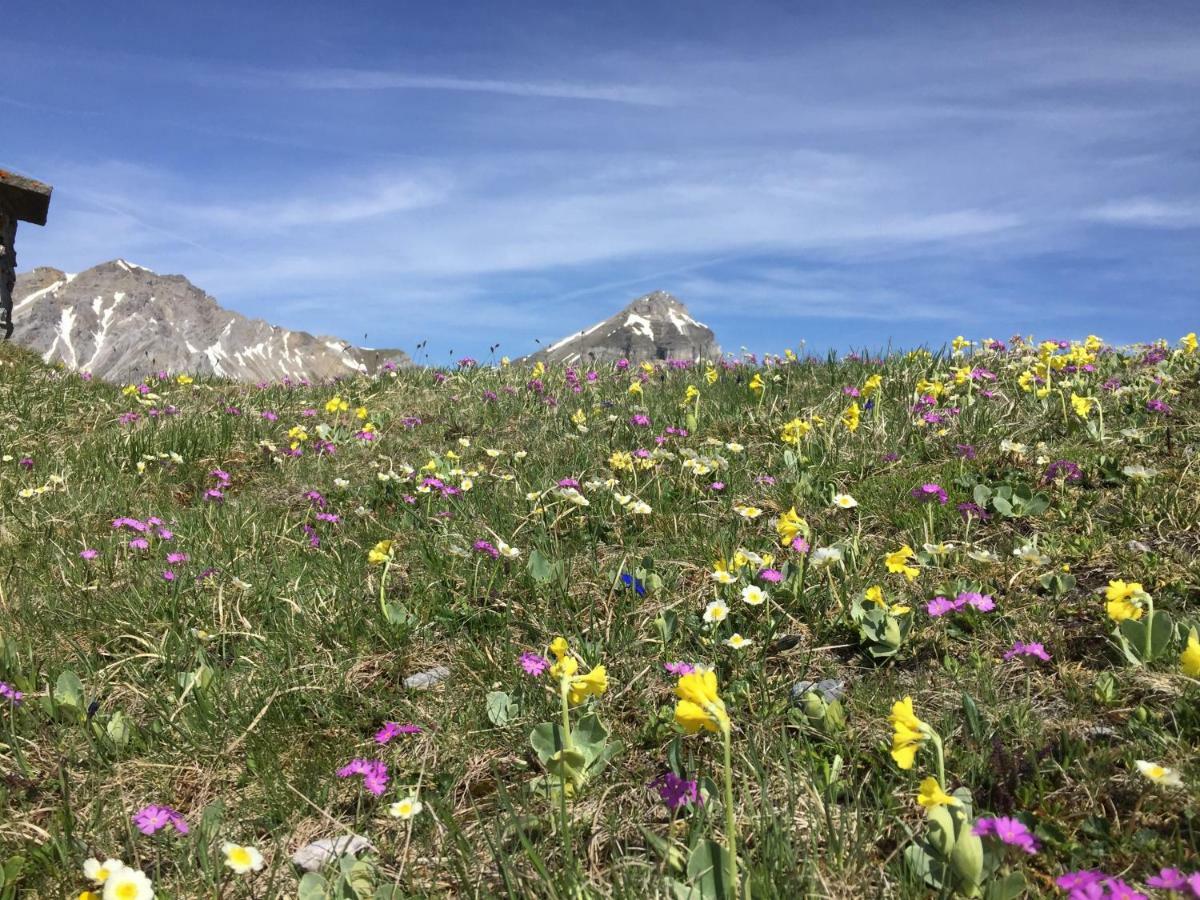 Haus Alpenrose Lejlighed Trins Eksteriør billede