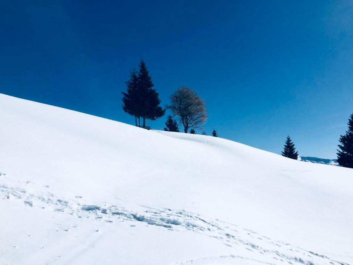 Haus Alpenrose Lejlighed Trins Eksteriør billede